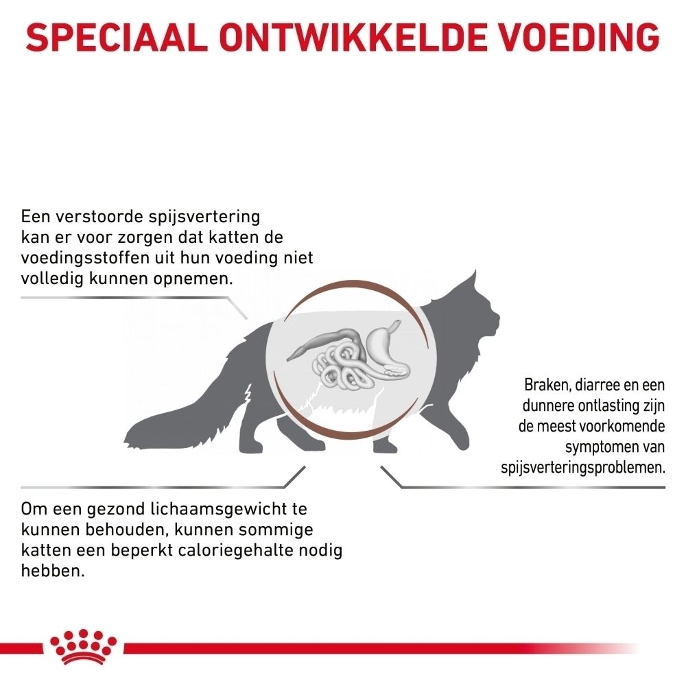 Grafiek die spijsverteringsproblemen bij katten en de noodzaak van een caloriearm dieet uitlegt.