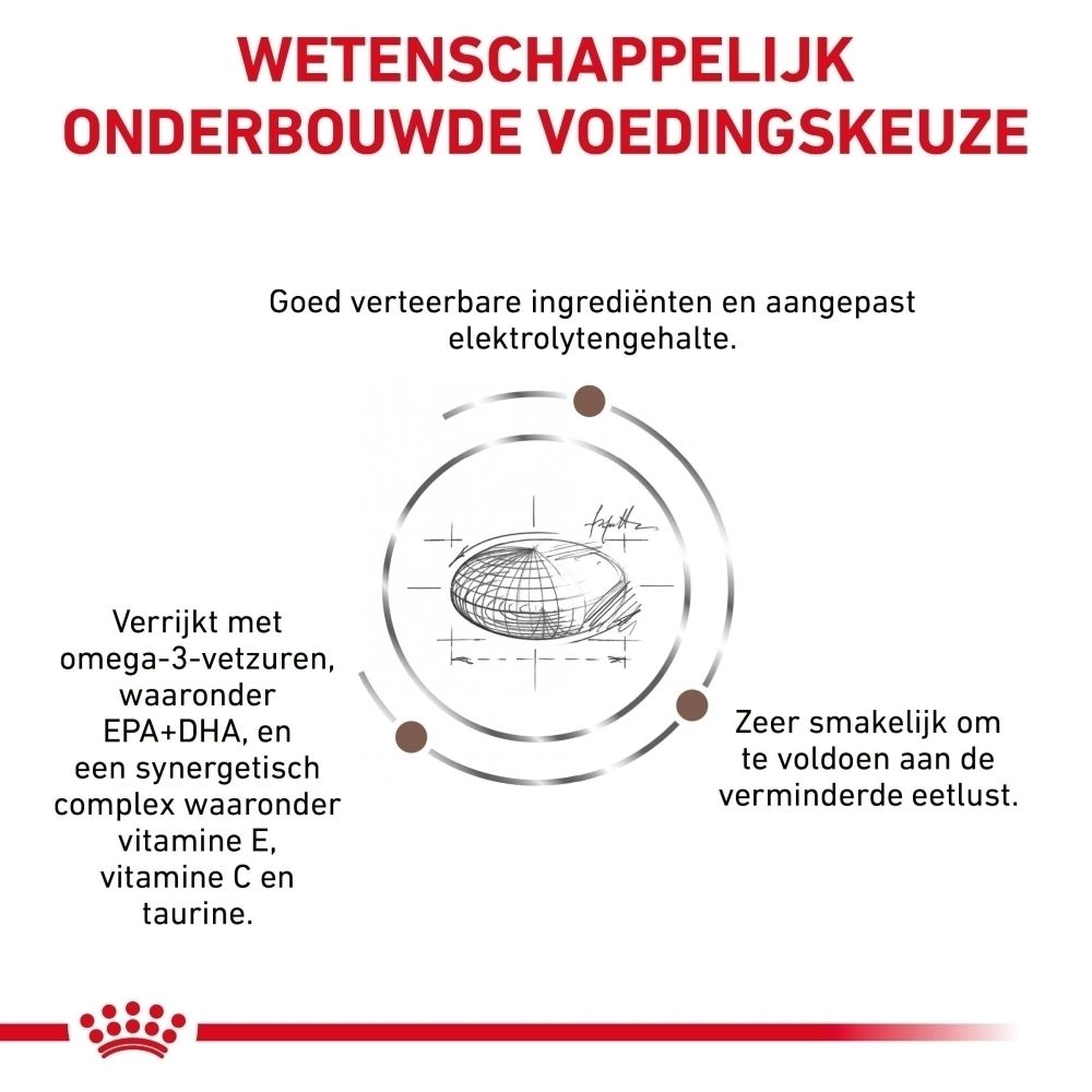 Wetenschappelijk onderbouwde kattenvoeding met omega-3 vetzuren en vitamines ter ondersteuning van de spijsvertering.