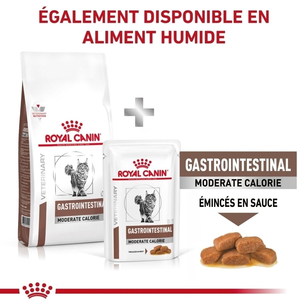 Guide d'alimentation pour chats selon le poids et la condition corporelle.