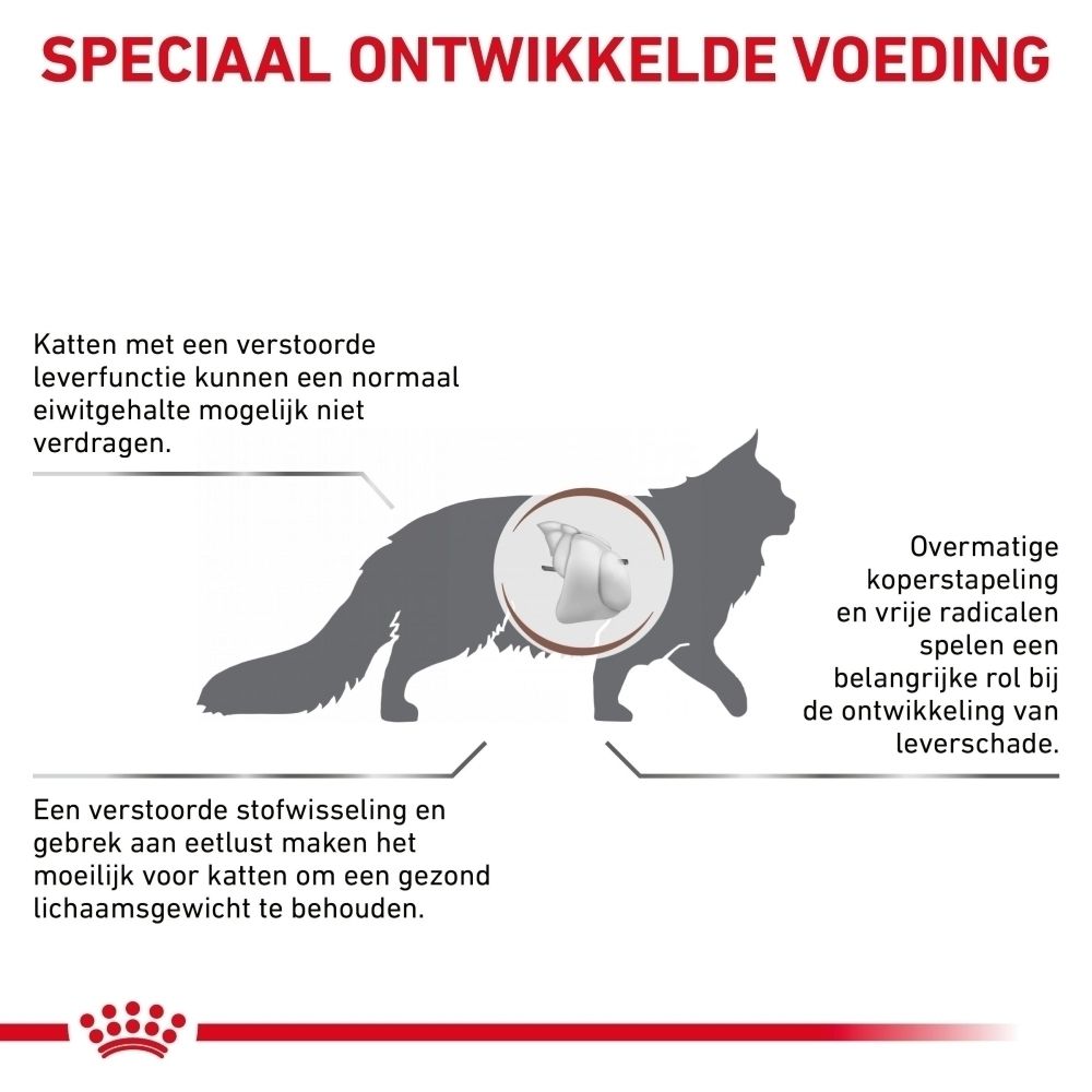 ROYAL CANIN Veterinary Hepatic: Specifieke nutritionele ondersteuning voor katten.