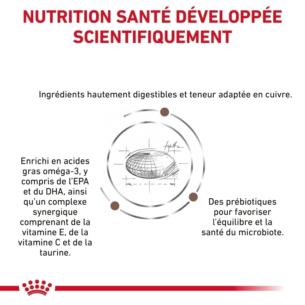 ROYAL CANIN Veterinary Hepatic : Alimentation développée scientifiquement.