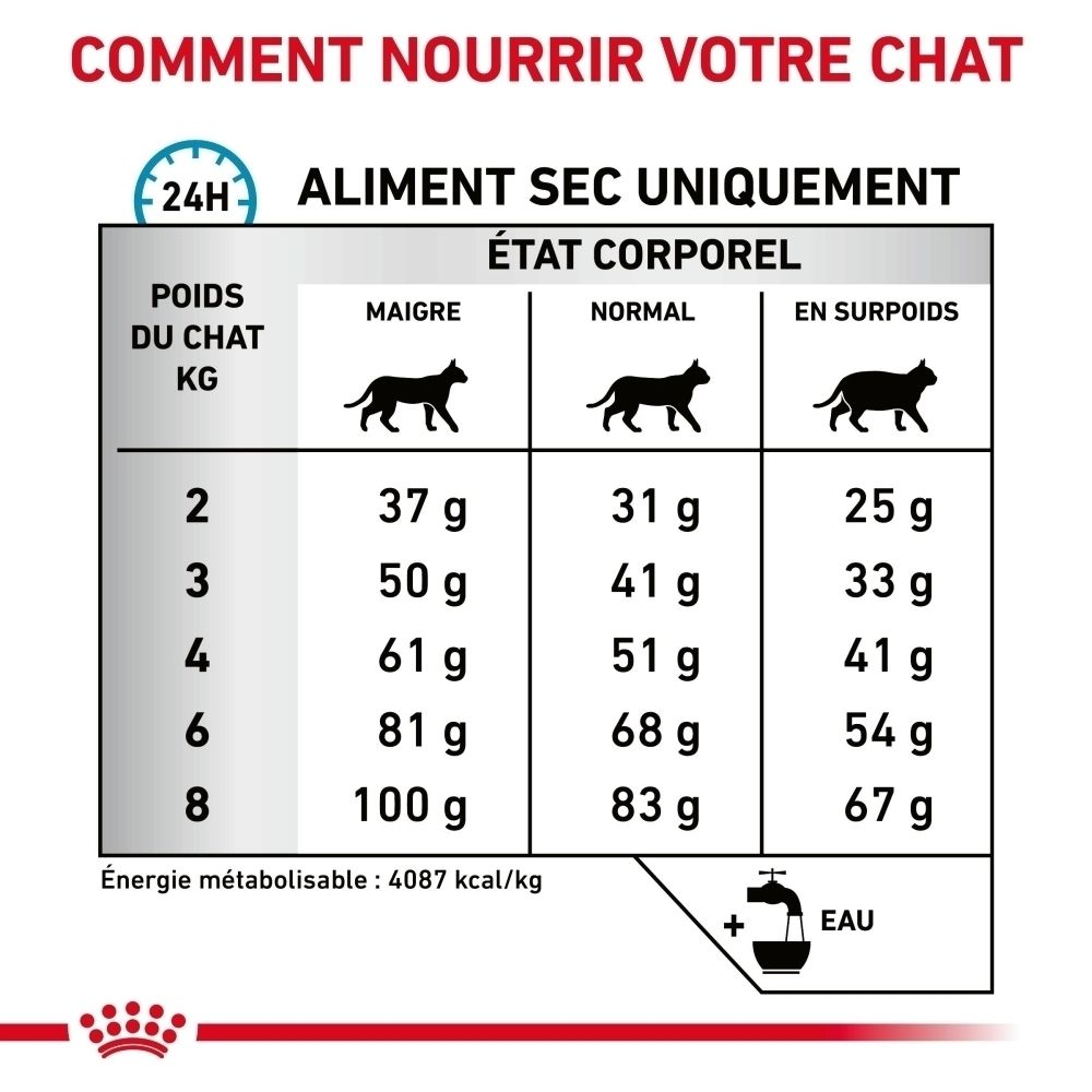 Tableau de nutrition féline : Quantité de nourriture sèche en grammes selon le poids et l'état corporel (maigre, normal, surpoids).