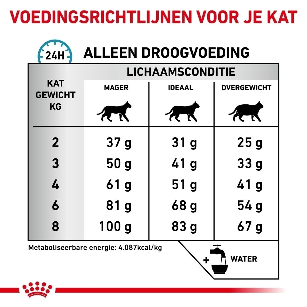 Voedingsrichtlijnen voor katten: Tabel toont voerhoeveelheid in grammen op basis van gewicht en lichaamsconditie (mager, ideaal, overgewicht).