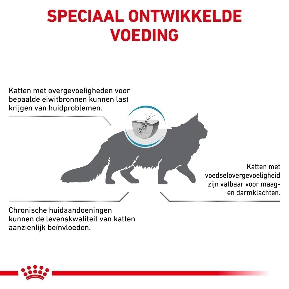 Illustratie van een kat met informatie over huid- en maag-darmproblemen door speciale voeding.