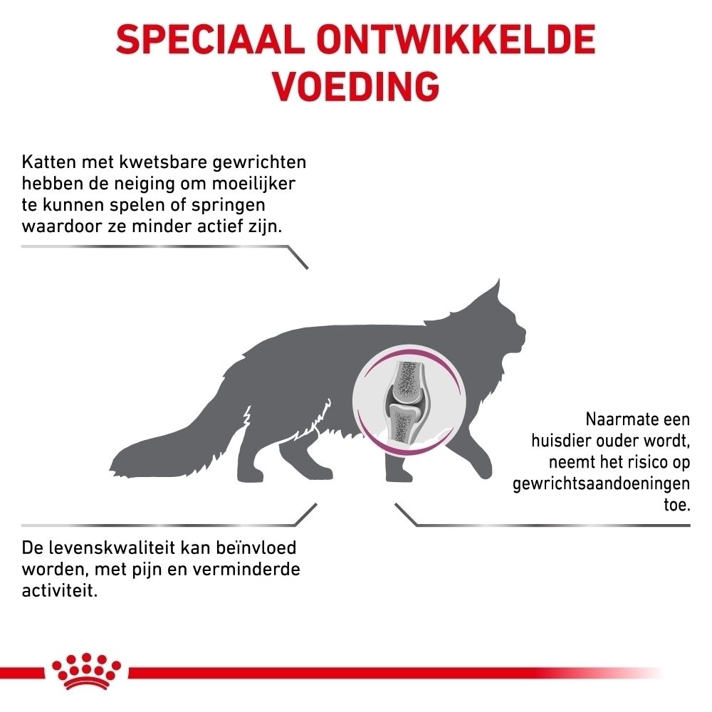 Royal Canin Veterinary Mobility kattenvoer zak, 2 kg, achterkant met tekst.
