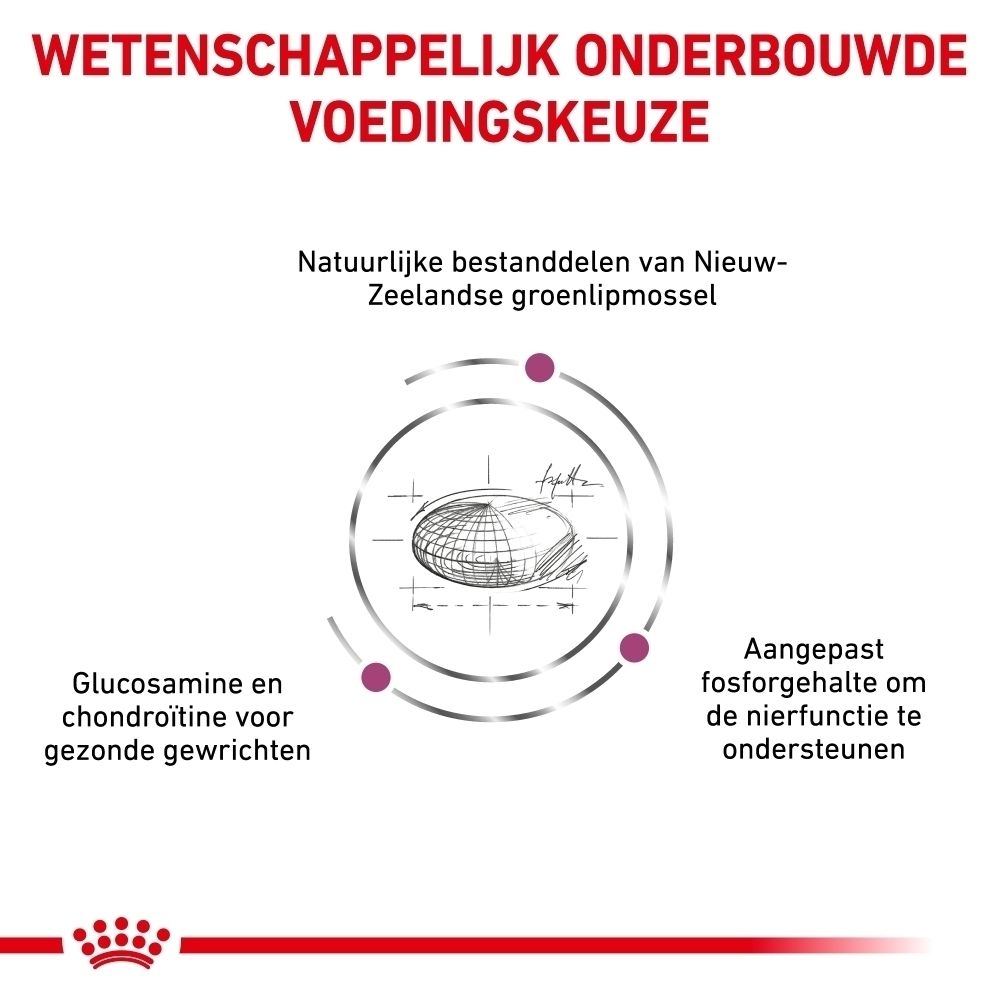 Royal Canin Veterinary Mobility kattenvoer zak, 2 kg, zijaanzicht.