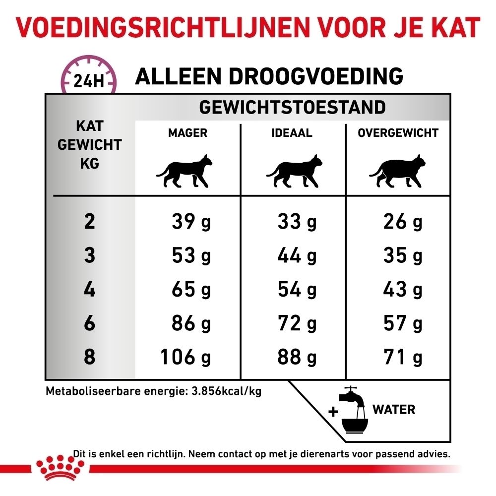 Voedingsrichtlijnen voor katten per gewicht en toestand: mager, ideaal, overgewicht. Inclusief waterindicatie.