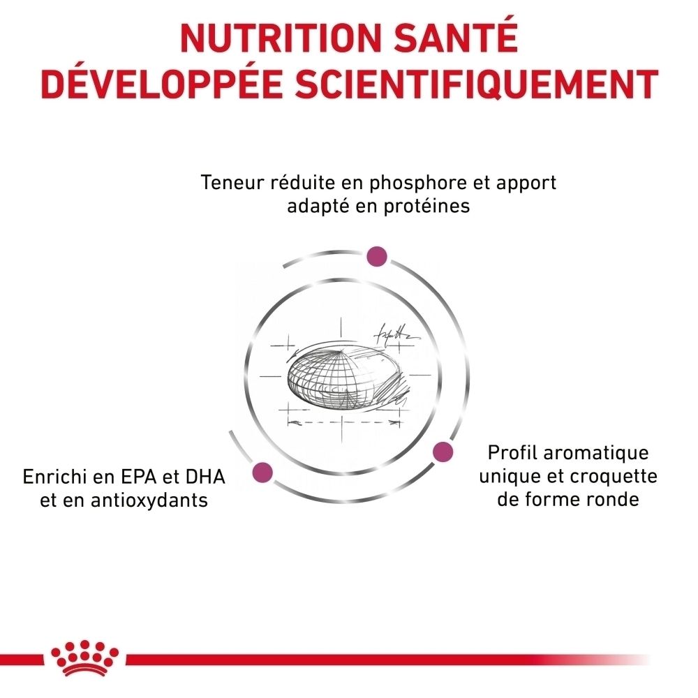 Croquettes ROYAL CANIN Veterinary Renal et nourriture humide.
