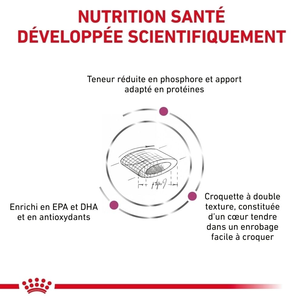 Sac de nourriture ROYAL CANIN Veterinary Feline Renal Select, verso avec informations.
