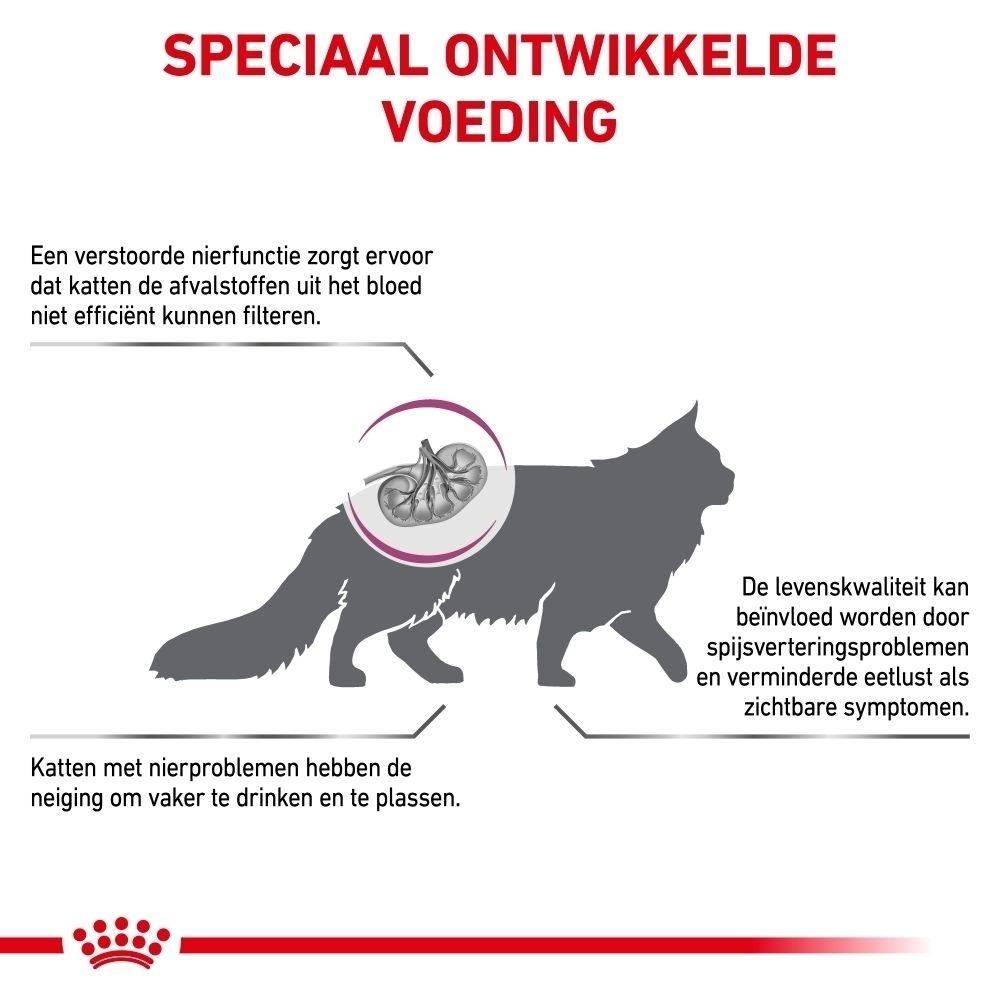 Overzicht van de productvoordelen van Royal Canin Renal Select: nierondersteuning, energie, eetlust.