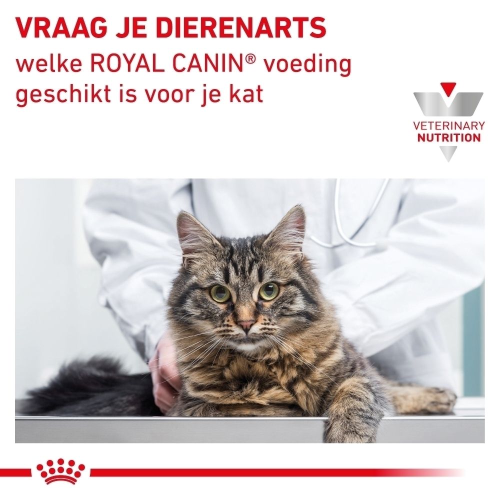 Grafiek die de wetenschappelijk ontwikkelde samenstelling van Royal Canin Renal Select toont.