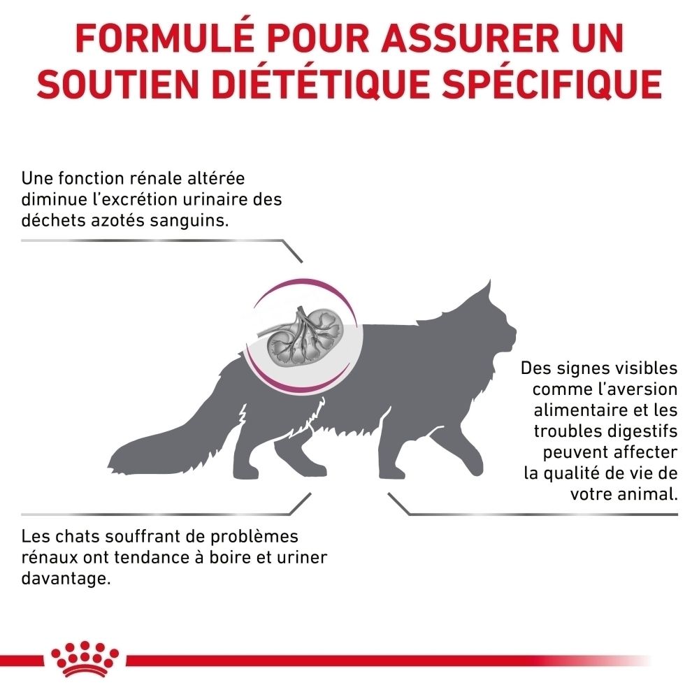 Infographie sur Royal Canin Renal Select : Nutrition santé développée scientifiquement pour chats.