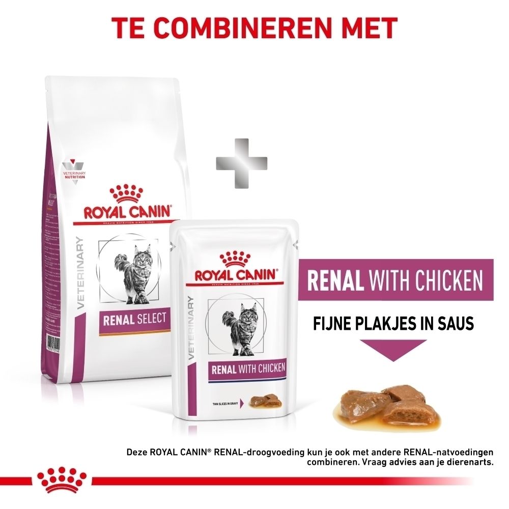 Illustratie die specifieke dieetondersteuning voor katten met een verstoorde nierfunctie uitlegt, in het Nederlands.