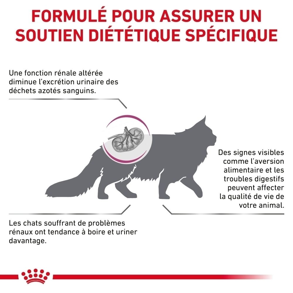 Graphique : Nutrition développée scientifiquement pour chats par ROYAL CANIN®.