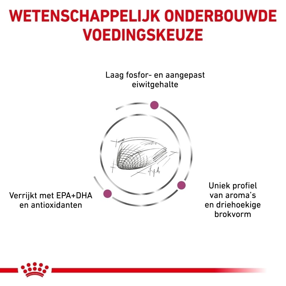 Tabel: Voedingsrichtlijnen voor katten op basis van gewicht en lichaamsconditie.