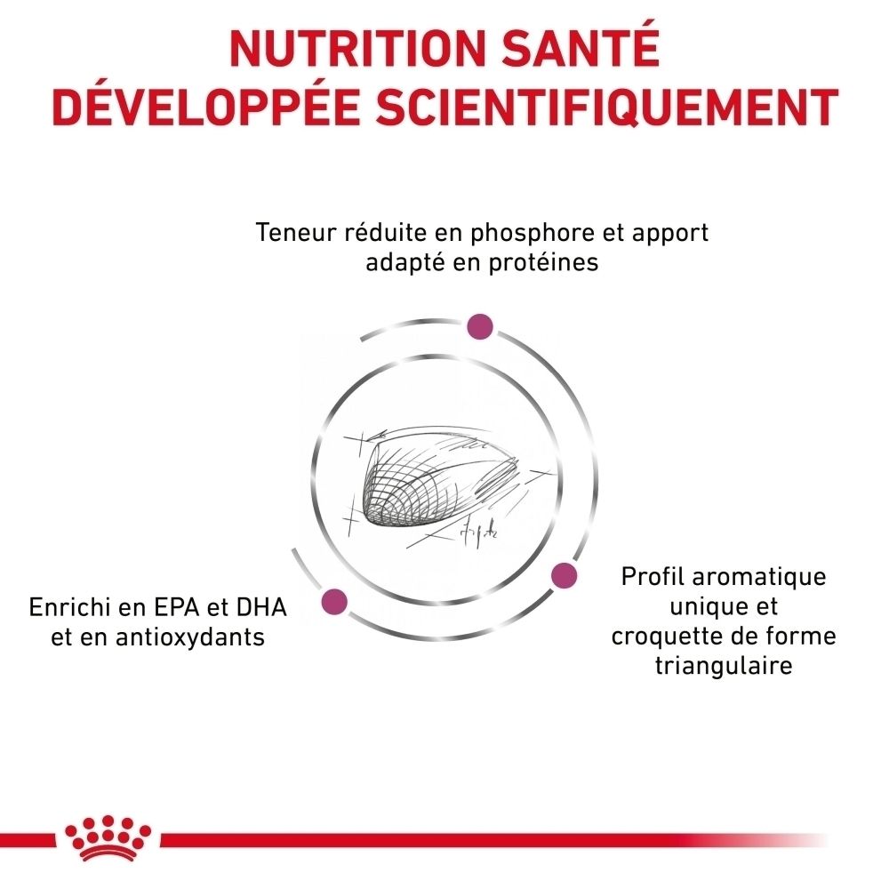 ROYAL CANIN Renal Special : Nutrition féline scientifiquement fondée.