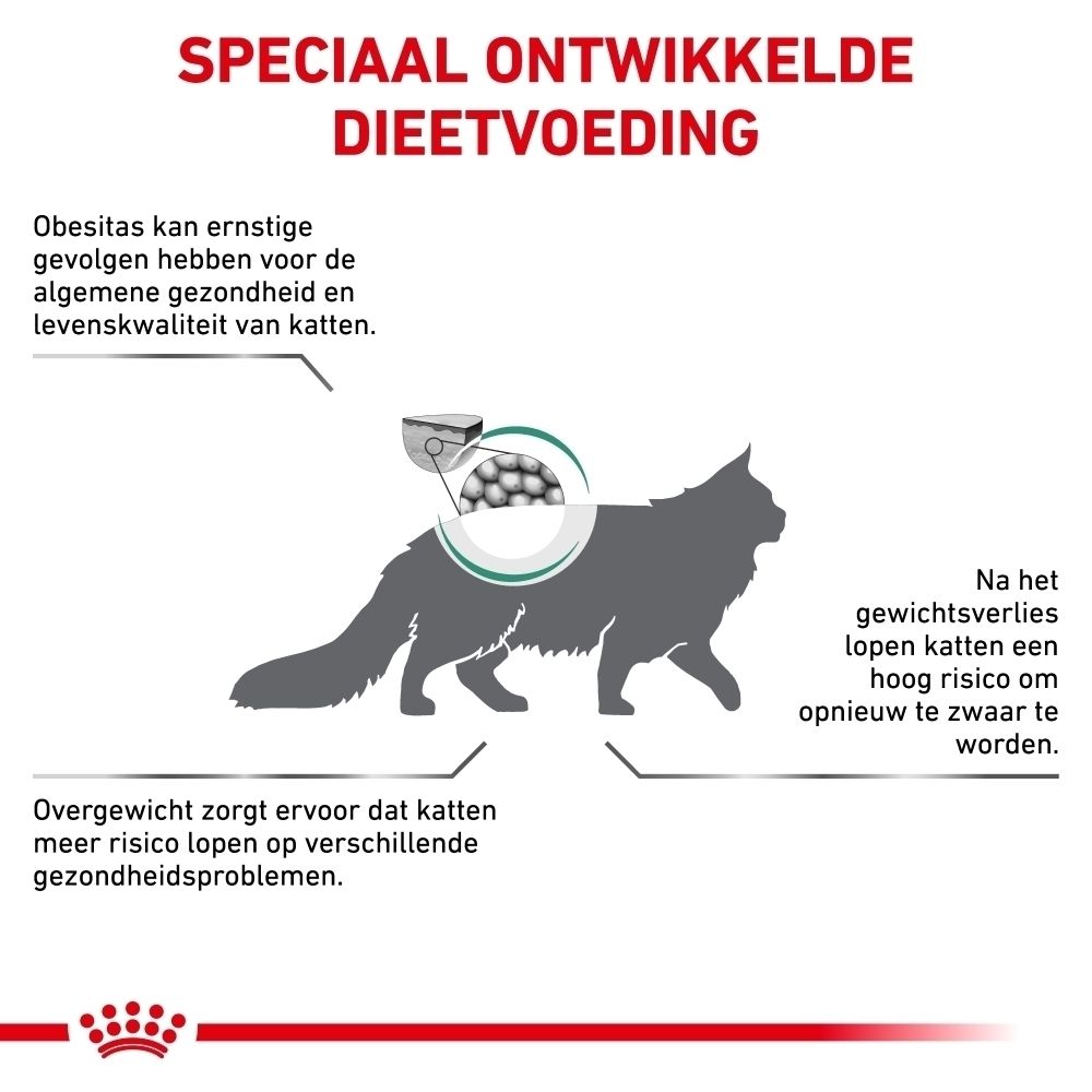 Grafiek: productvoordelen voor katten, gewichtsbeheer, verzadiging en spierbehoud.