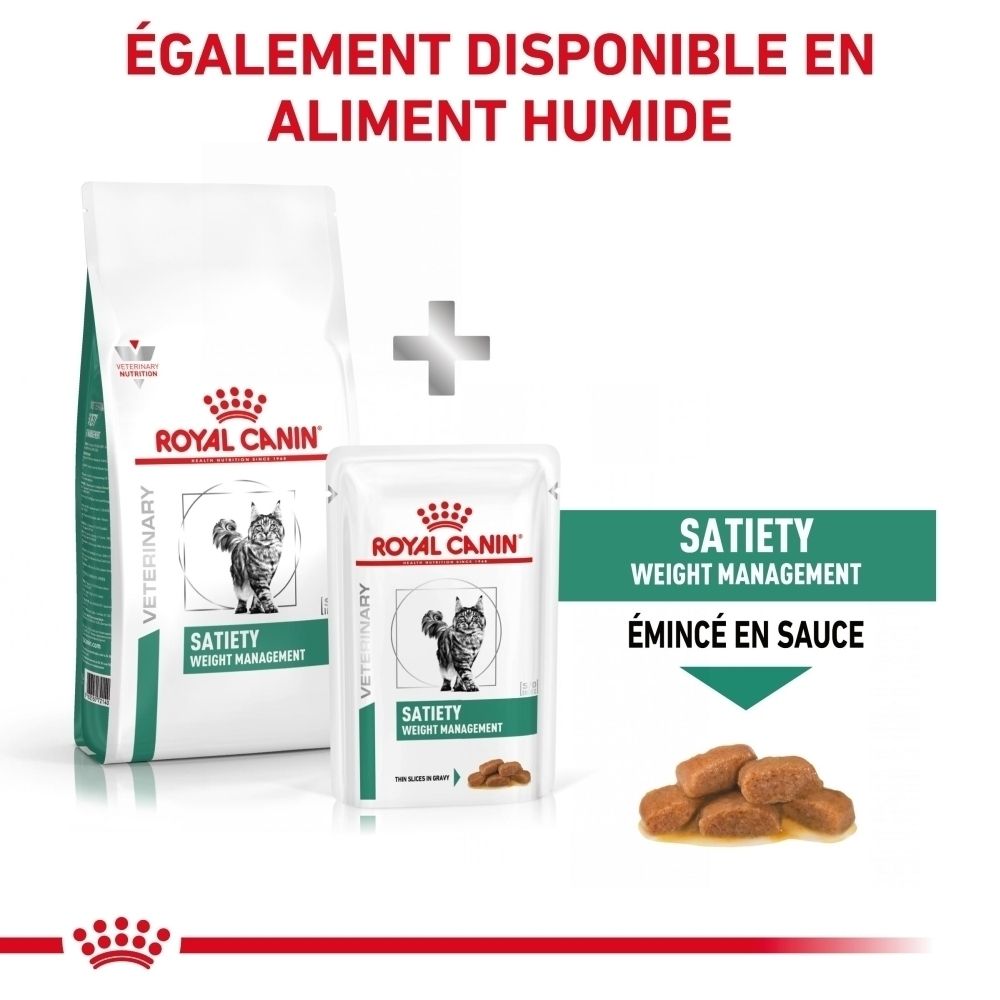 Graphique : un vétérinaire conseille sur la nutrition Royal Canin pour chats.