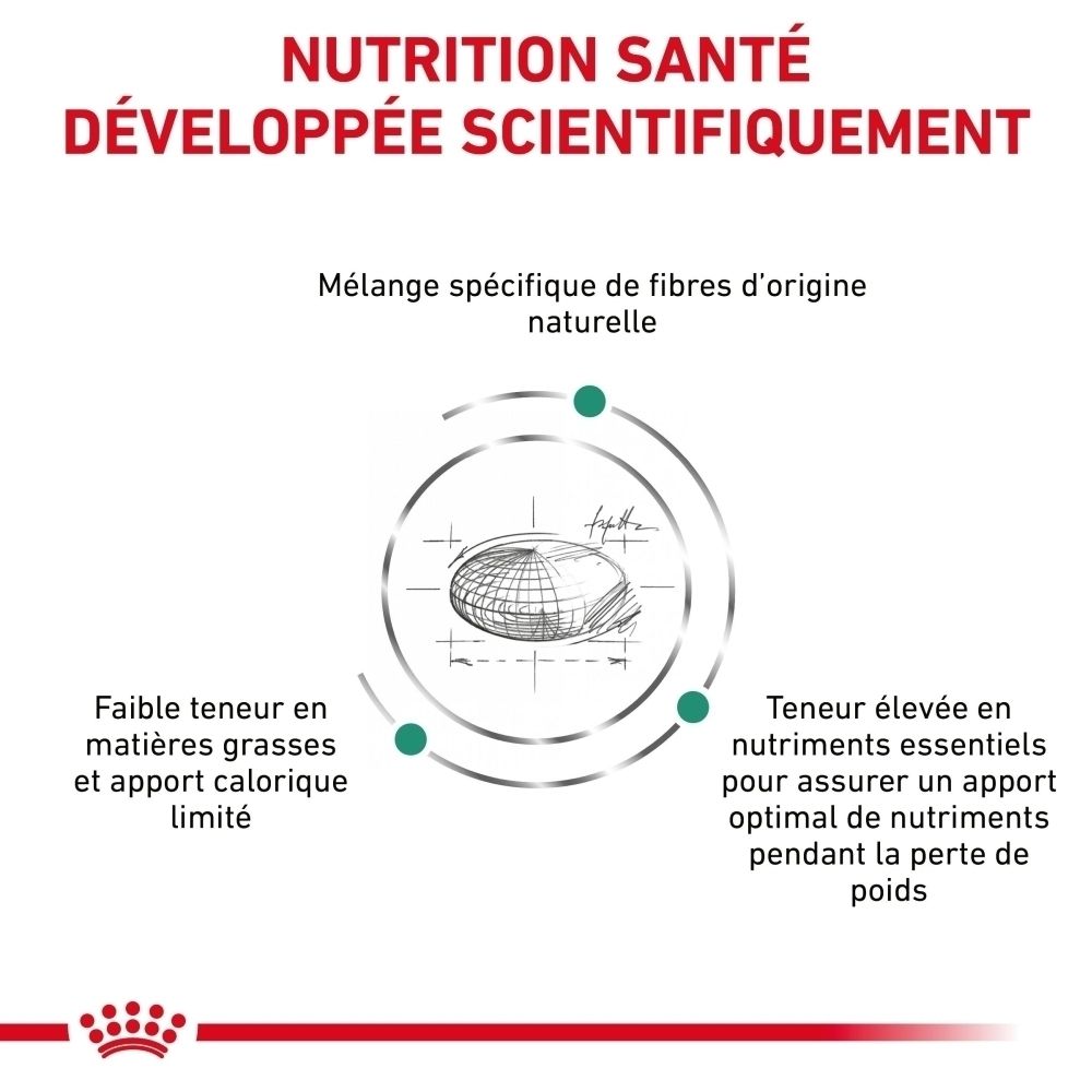 Graphique avec texte : Nutrition santé développée scientifiquement. Mélange spécifique de fibres naturelles. Faible teneur en matières grasses et calories. Teneur élevée en nutriments essentiels.