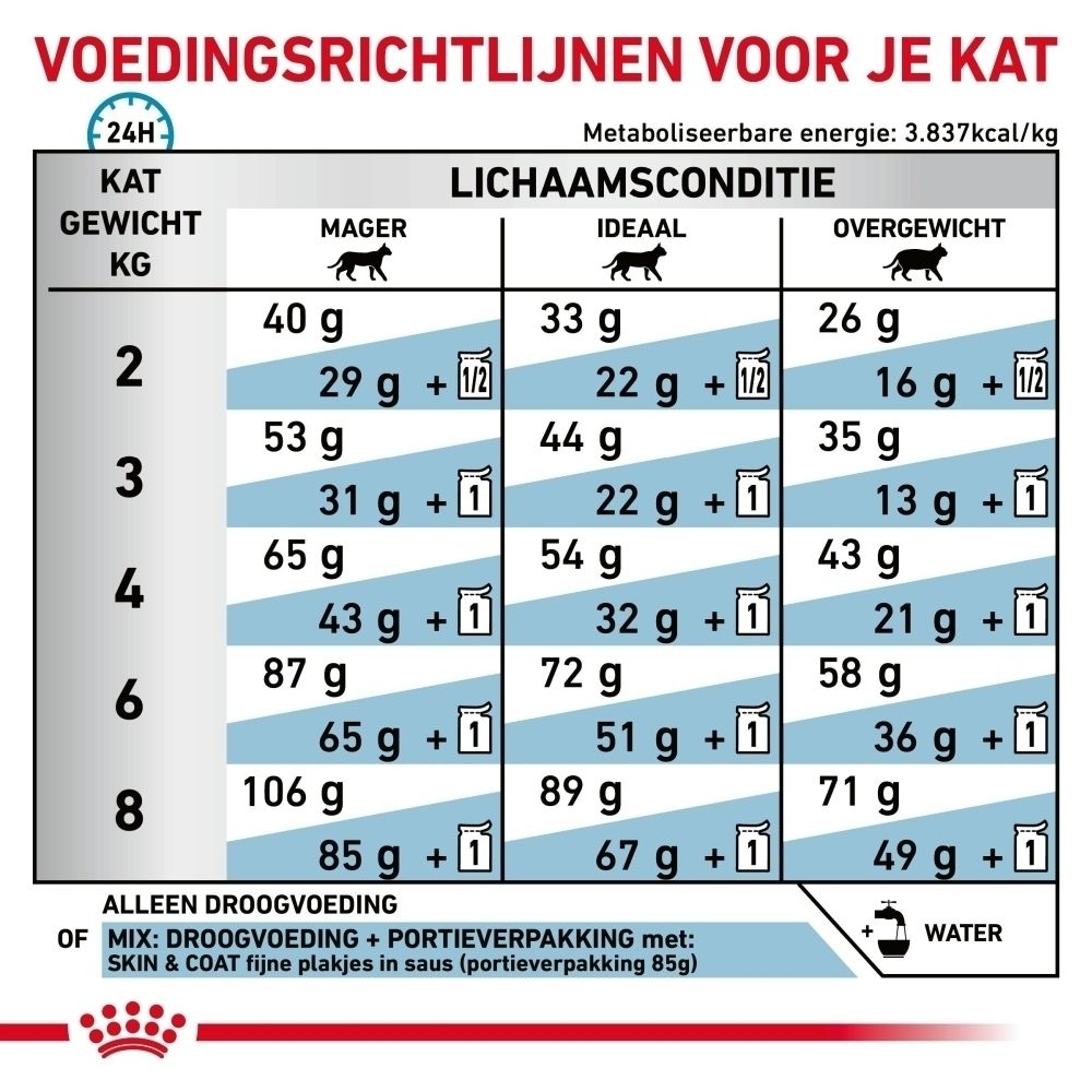 Voedingsrichtlijnen voor katten per gewicht en lichaamsconditie, met indicaties voor droogvoer en natvoer.