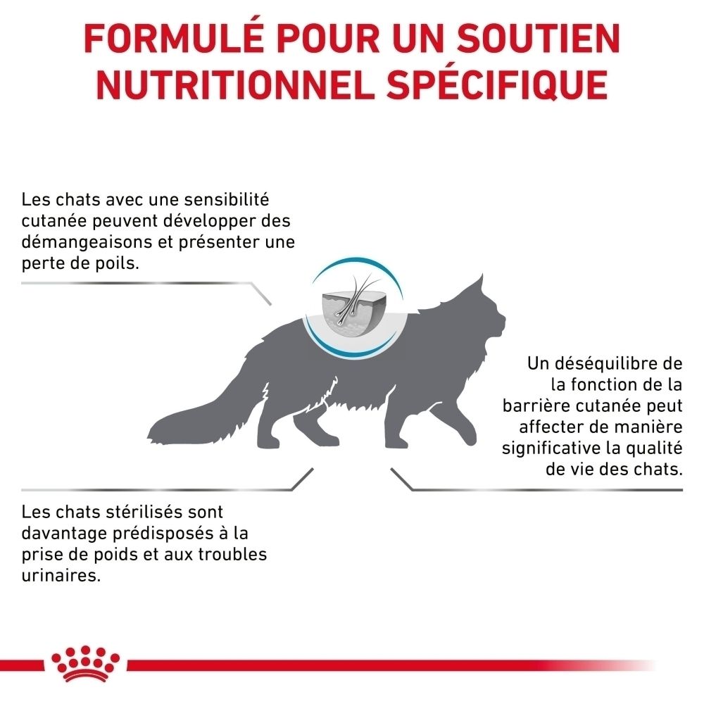Illustration d'un chat axée sur les problèmes de peau, y compris la perte de poils et les démangeaisons.