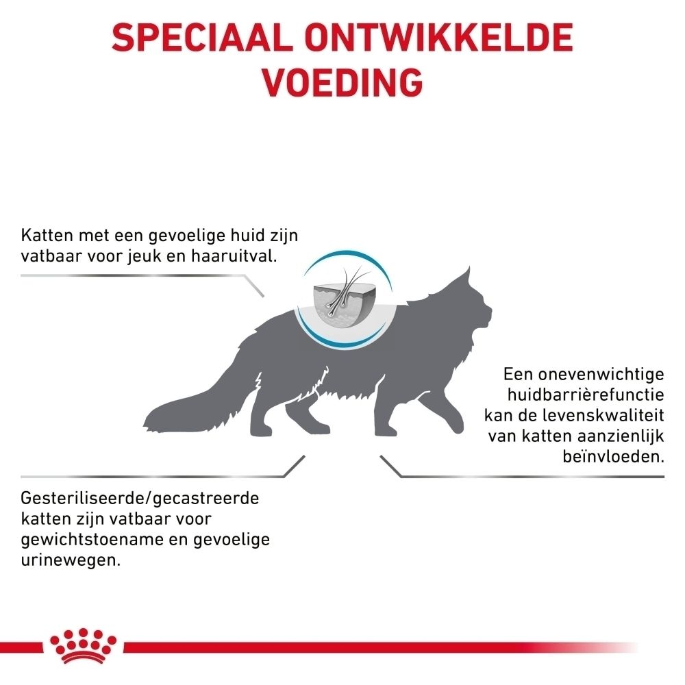 Illustratie van een kat met tekstvakken over huid- en urinewegproblemen.