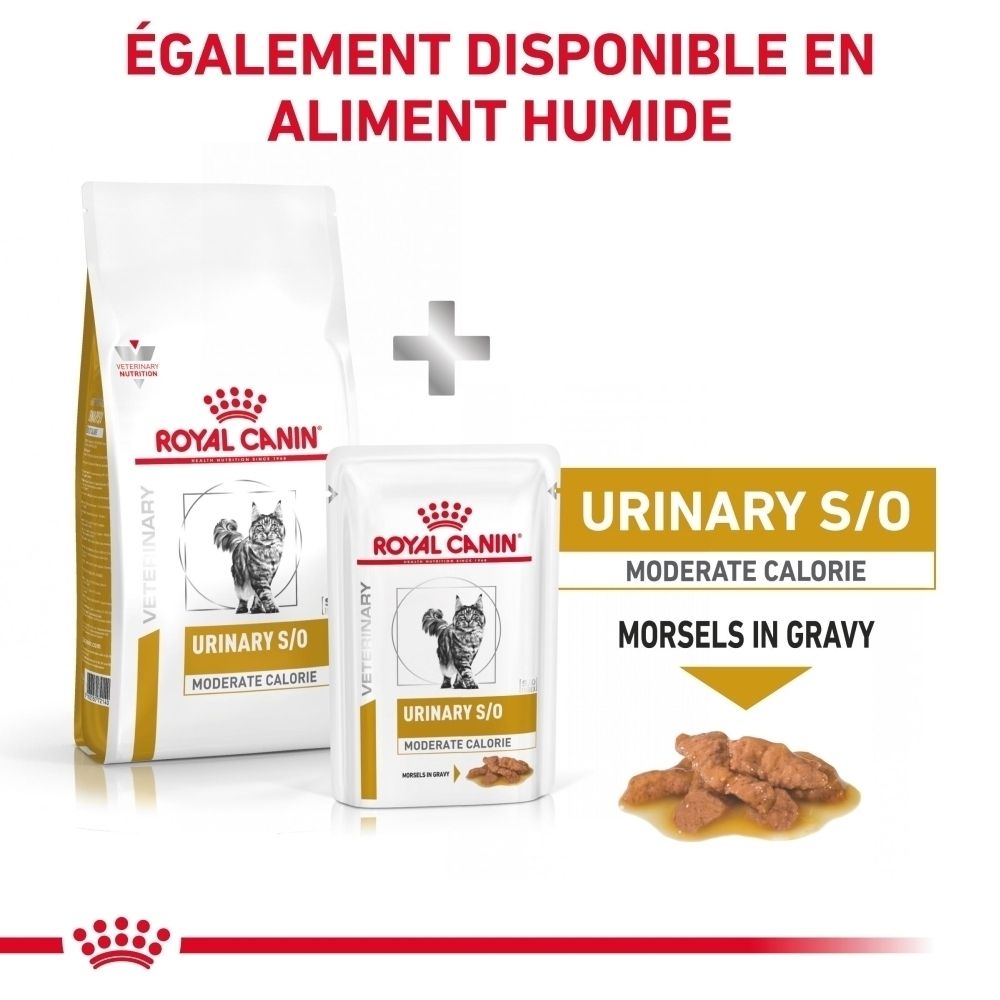 Présentation des aliments secs et humides ROYAL CANIN Urinary S/O Moderate Calorie pour chats en français.