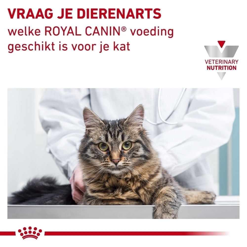 Oproep in het Nederlands om een dierenarts te raadplegen voor de juiste ROYAL CANIN voeding voor uw kat.
