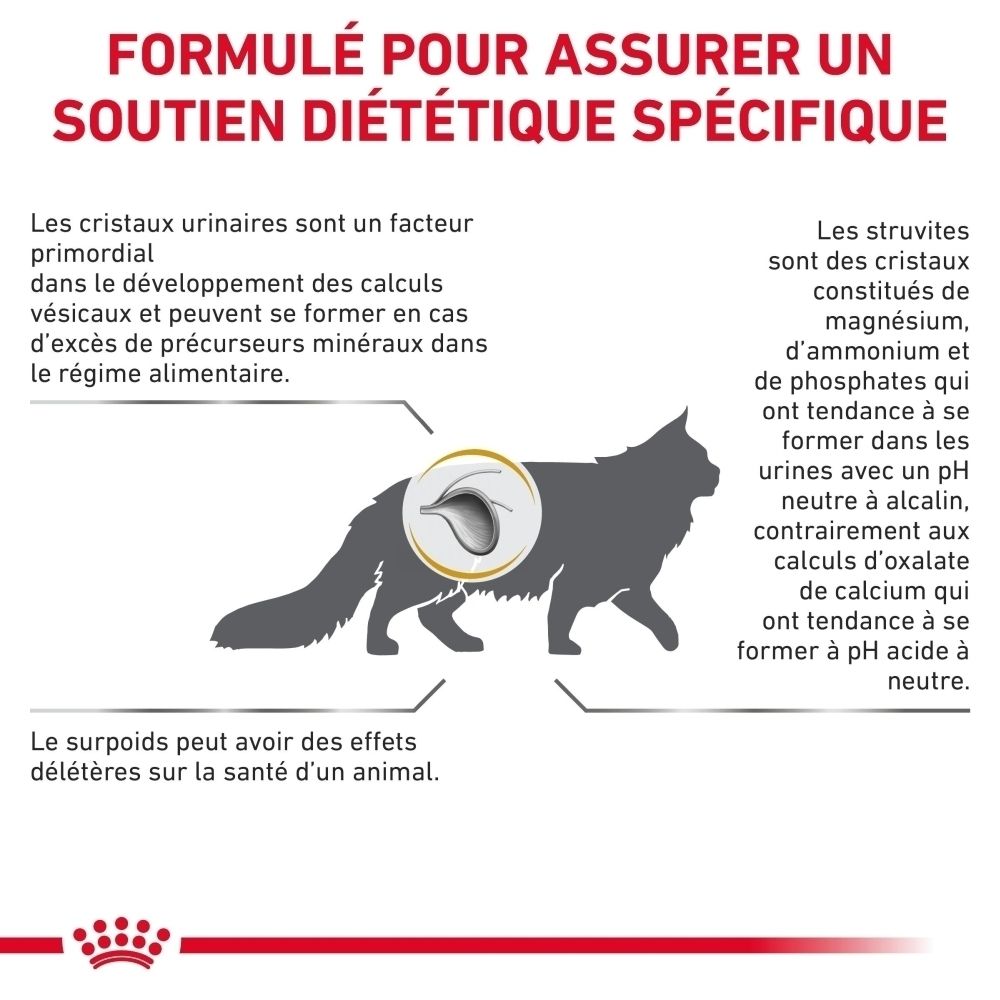 Explication en français de la manière dont l'aliment ROYAL CANIN Urinary S/O Moderate Calorie offre un soutien diététique spécifique.