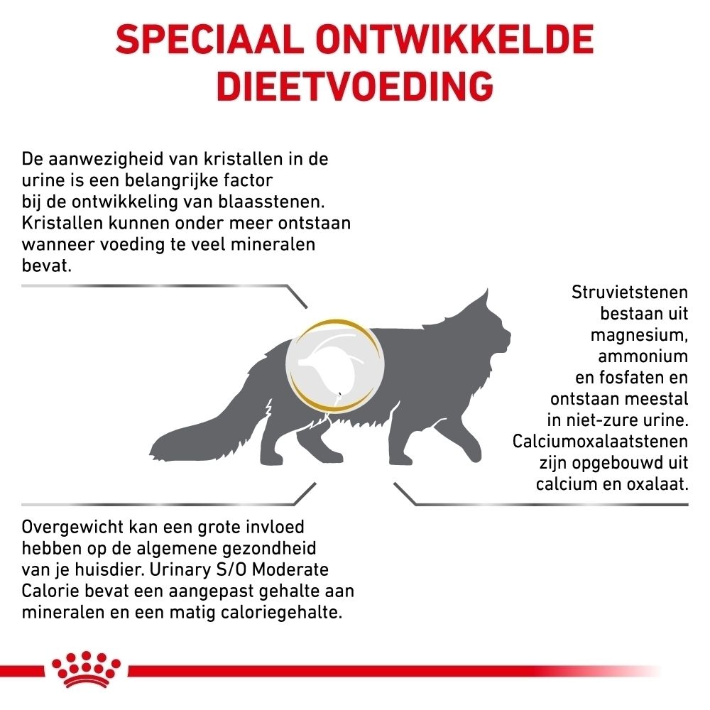 Uitleg in het Nederlands over hoe ROYAL CANIN Urinary S/O Moderate Calorie voeding specifieke dieetondersteuning biedt.