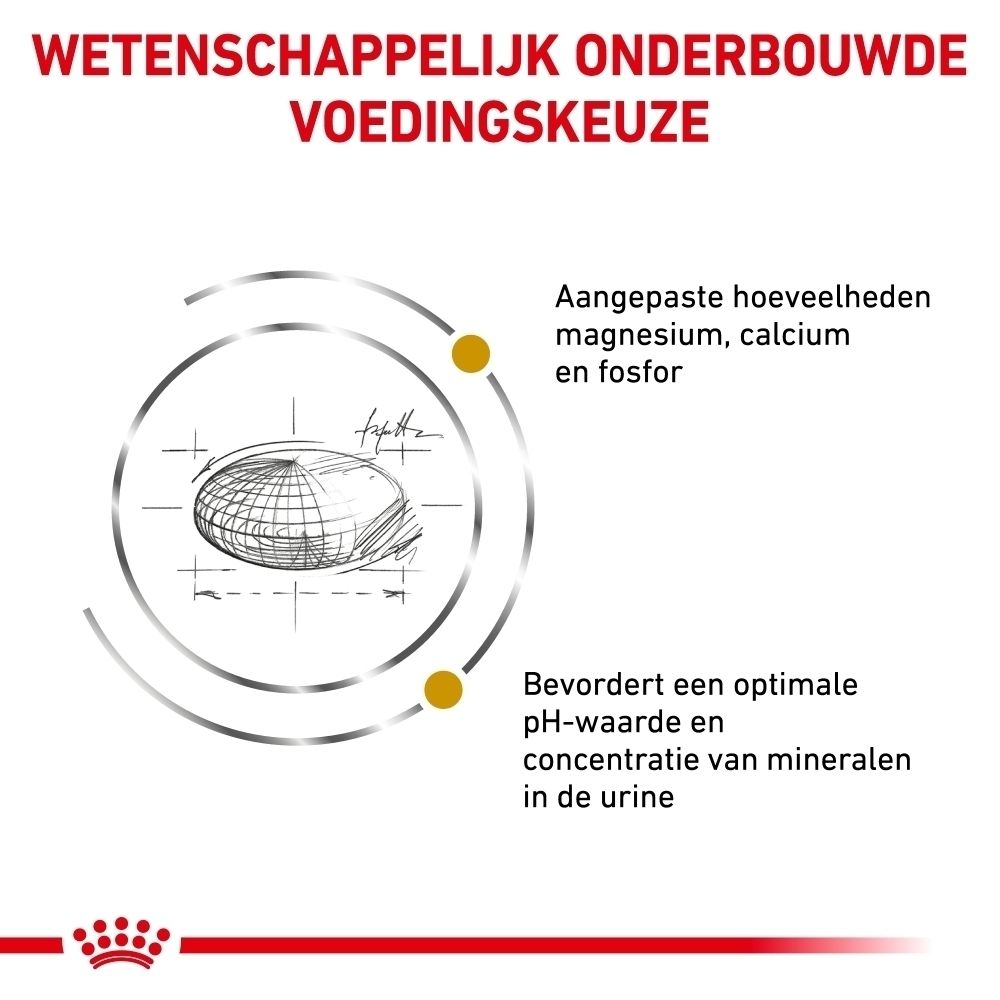 Zak ROYAL CANIN® Urinary S/O droogvoer met kat.