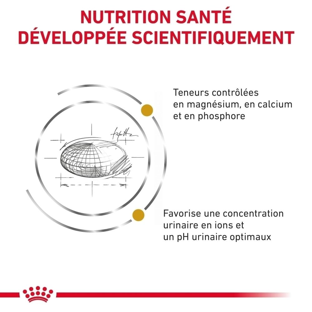 Graphique illustrant les avantages de ROYAL CANIN Urinary S/O Moderate Calorie pour la santé urinaire des chats.