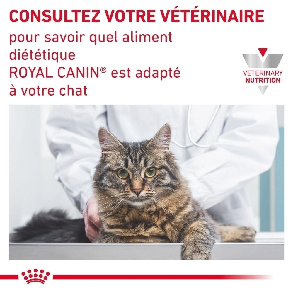 Graphique expliquant la formation de calculs vésicaux et urinaires chez le chat et le rôle de ROYAL CANIN Urinary S/O.