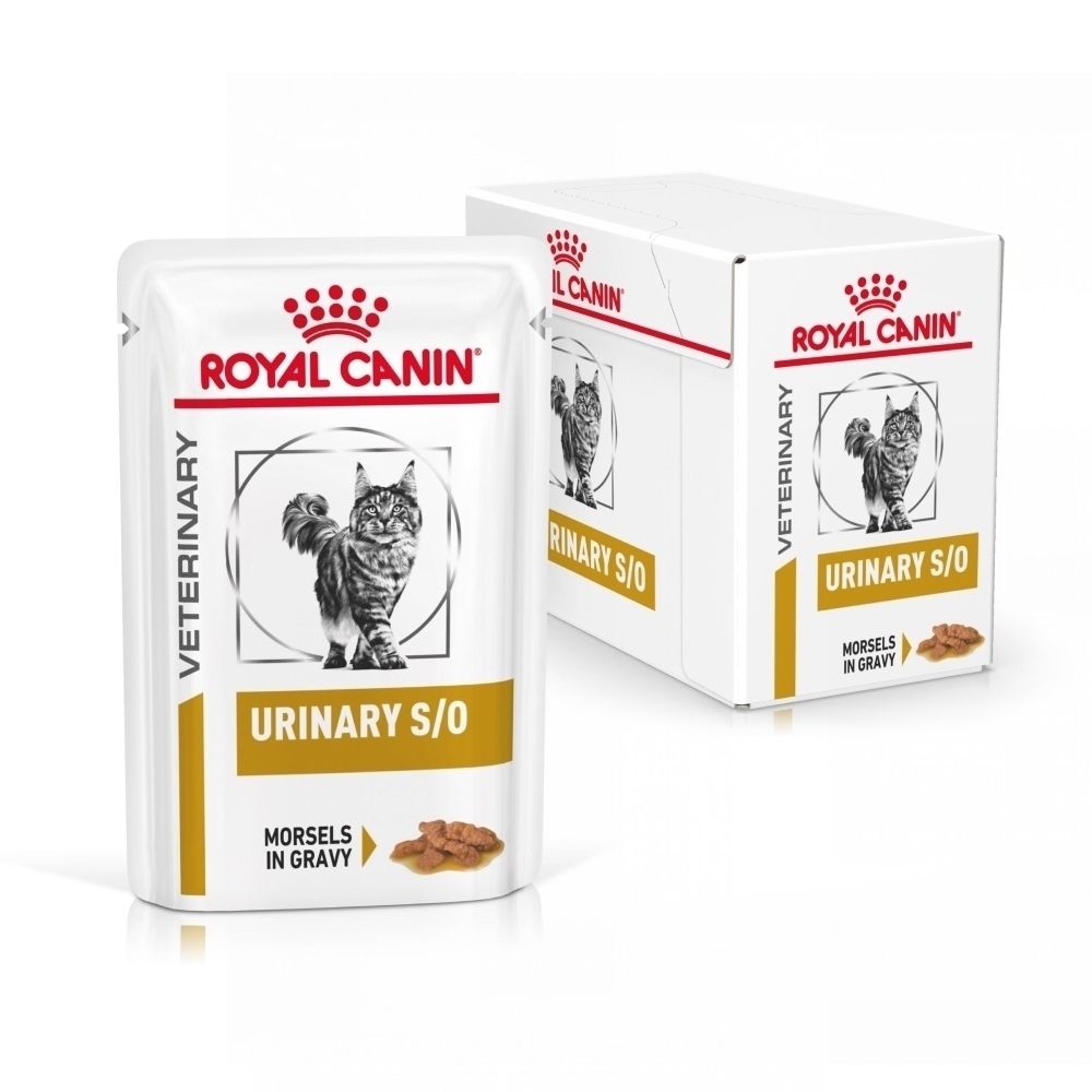 Boîte et sachet individuel Royal Canin Urinary S/O pour chats.