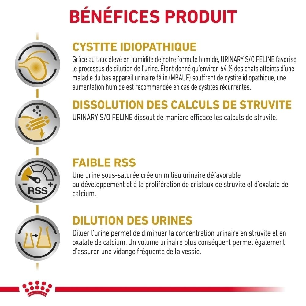 Boîte Royal Canin Urinary S/O avec recommandations d'alimentation pour chats.