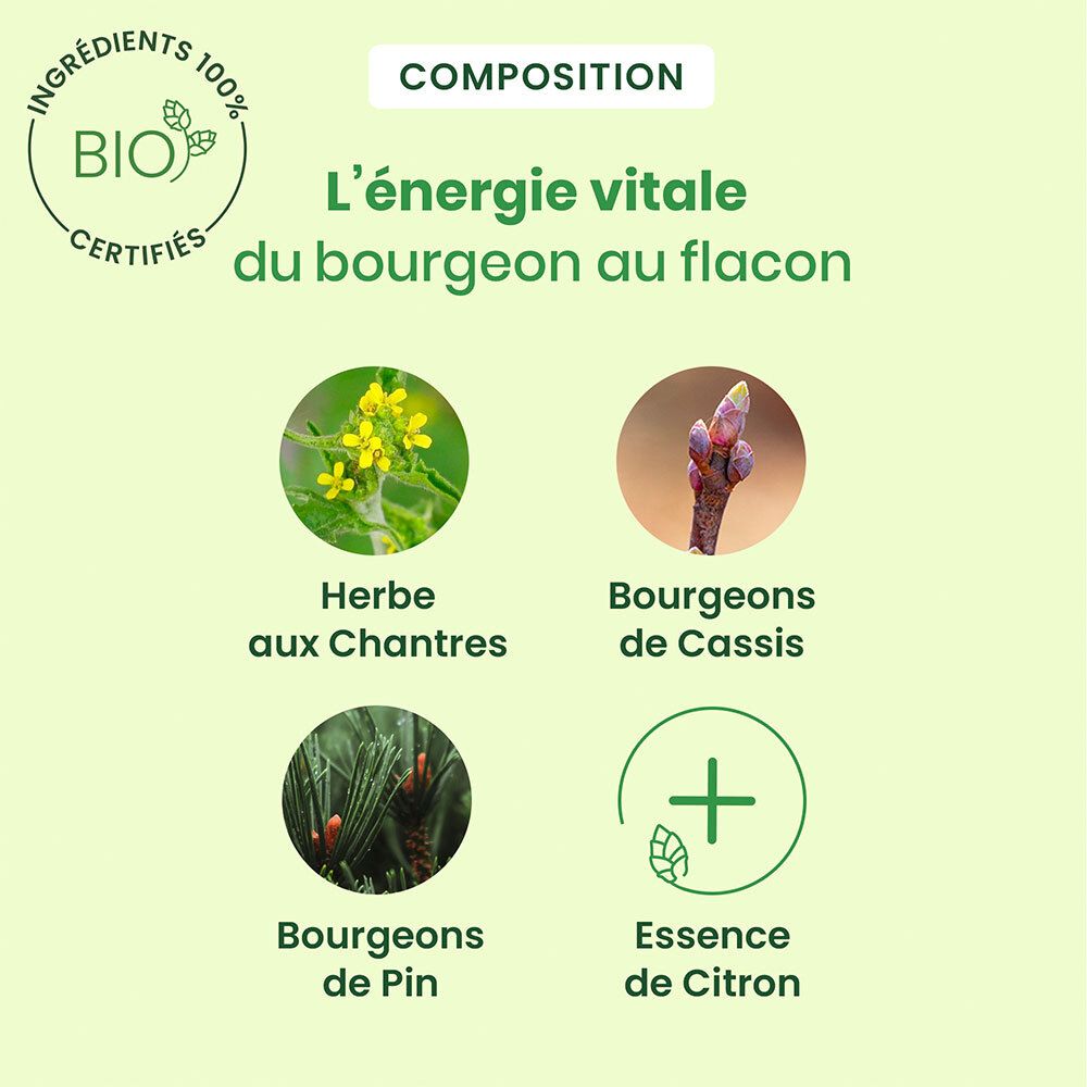HerbalGem Gommes Chantres