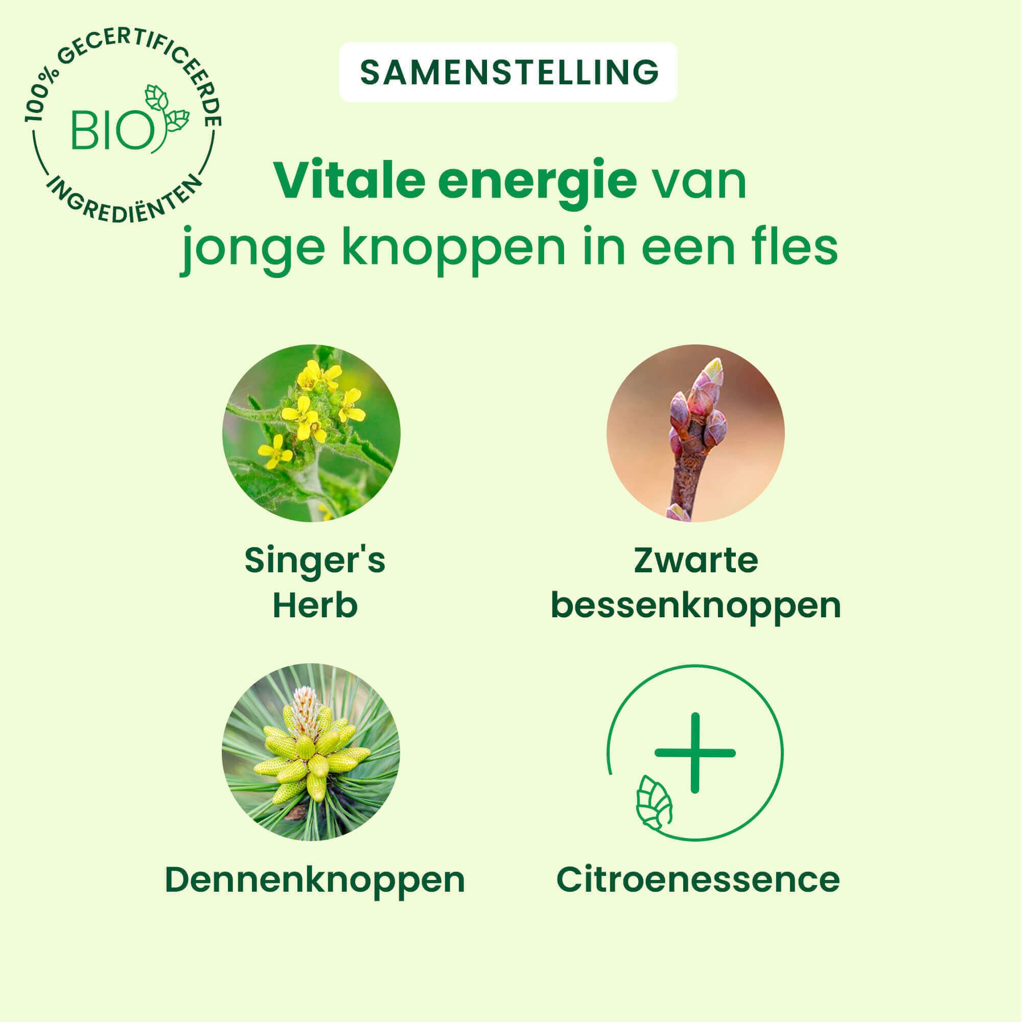 Tekst: Samenstelling. Illustraties: Zangerskruid, Zwarte bessenknoppen, Dennenknoppen, Citroenessence. Bio-label.
