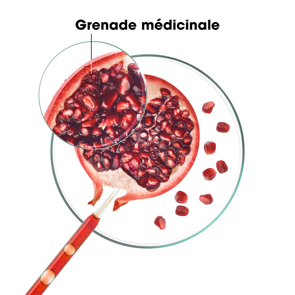 Coupe de grenade. Vue agrandie. Texte: Grenade médicinale.