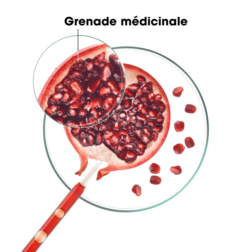 Tube Klorane après-shampoing à la grenade, 200ml. Montre une demi-grenade et des feuilles.
