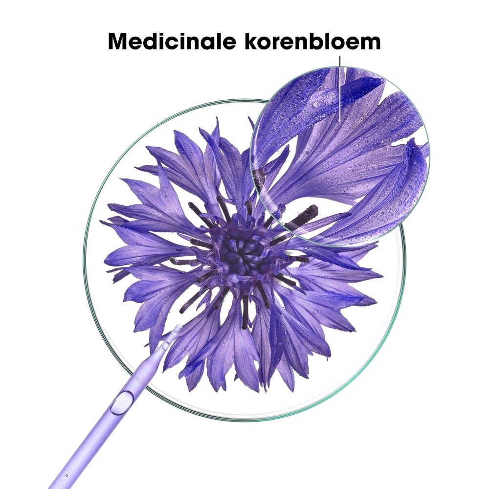 Close-up van een korenbloem als ingrediënt voor KLORANE shampoo. Vergrote weergave toont de bloemblaadjes.