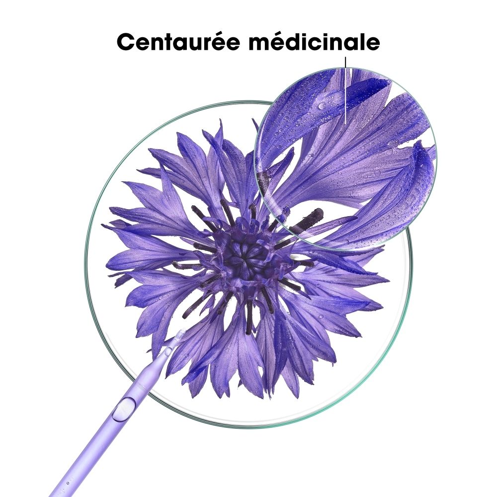 Fleur de centaurée dans une boîte de Pétri, illustrant l'origine naturelle du conditionneur KLORANE.
