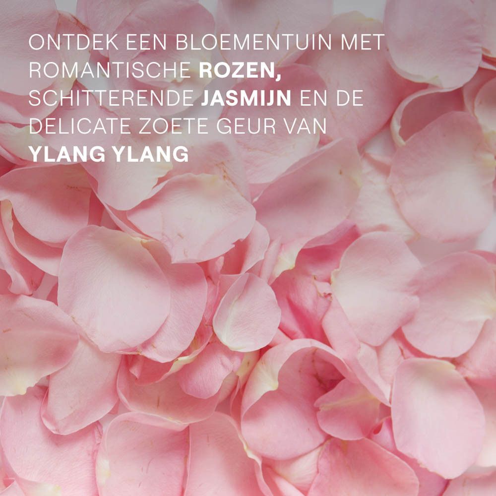 Roze rozenblaadjes. Tekst: Ontdek een bloementuin met rozen, jasmijn en ylang-ylang.