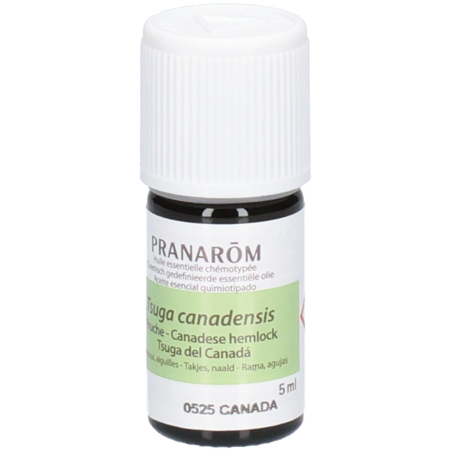 Kleine bruine glazen fles met witte schroefdop. Etiket toont 'Tsuga canadensis' en '5ml'.