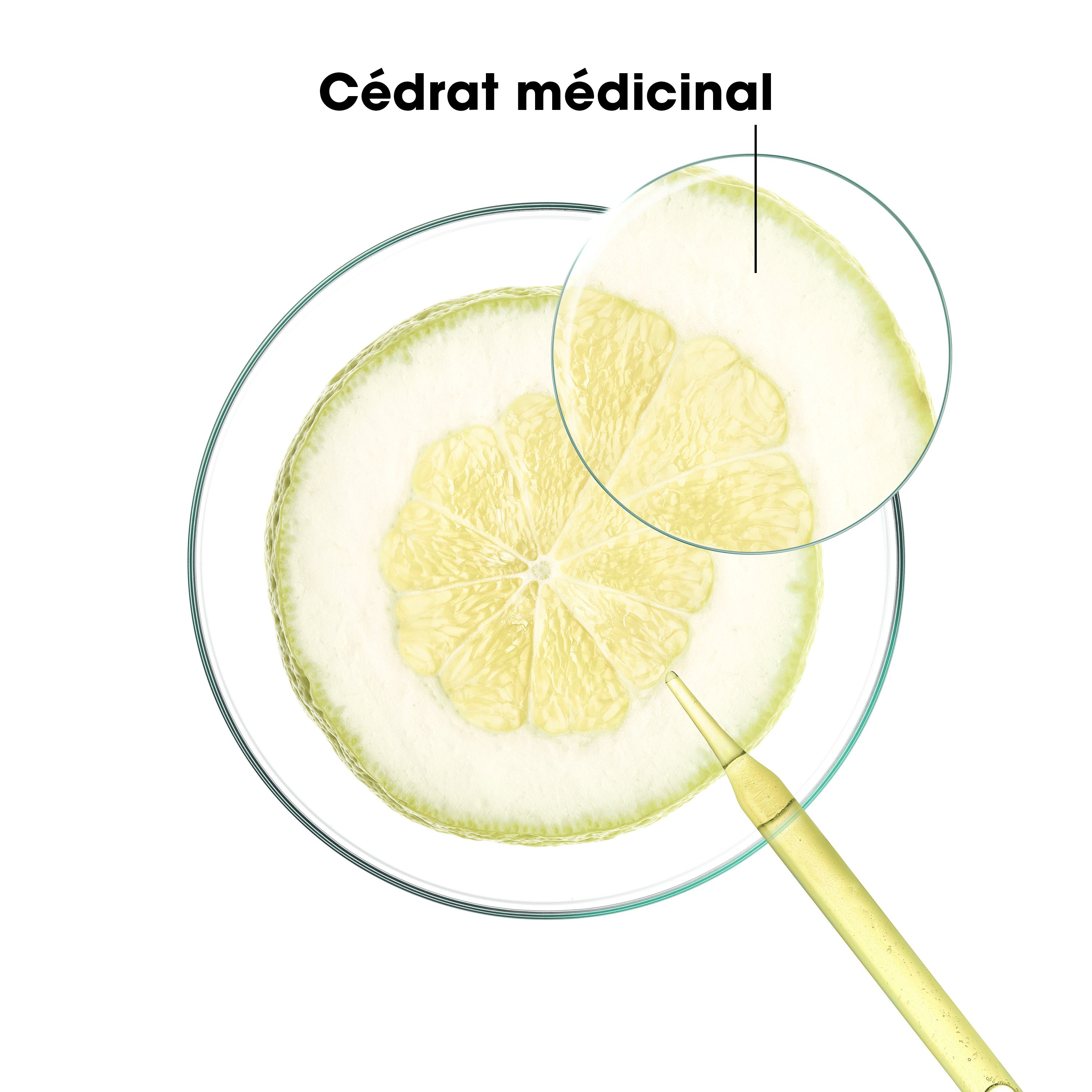 Dos du flacon de shampooing KLORANE. Texte et logos. Liquide jaune.