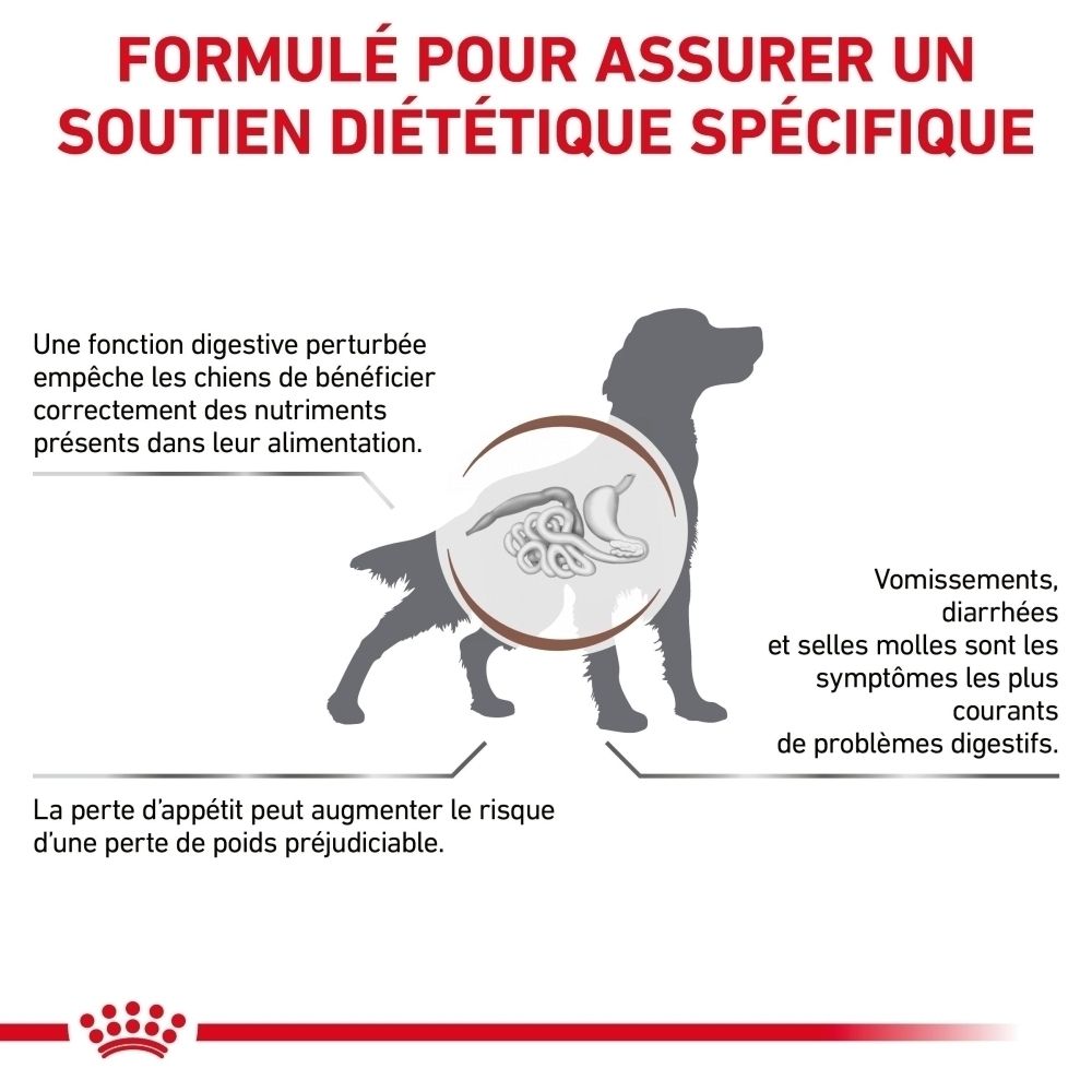 Sac de nourriture vétérinaire ROYAL CANIN Gastrointestinal pour chien, 15 kg.