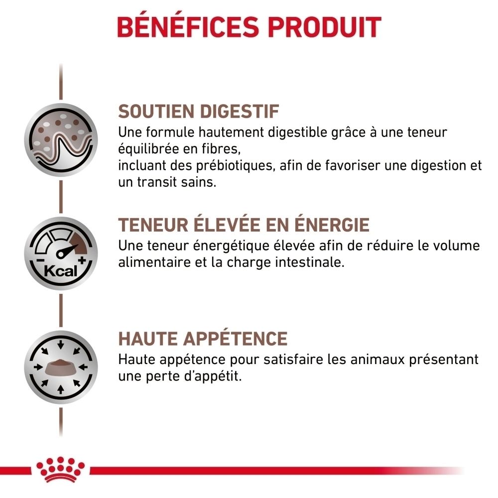 Sac de nourriture vétérinaire ROYAL CANIN Gastrointestinal pour chien.