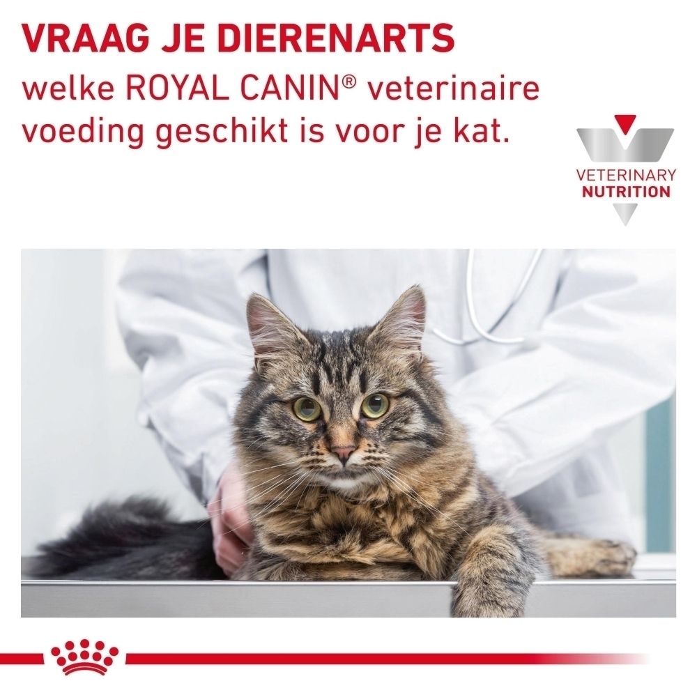 Royal Canin Gastrointestinal Hairball voerzak, 2 kg.