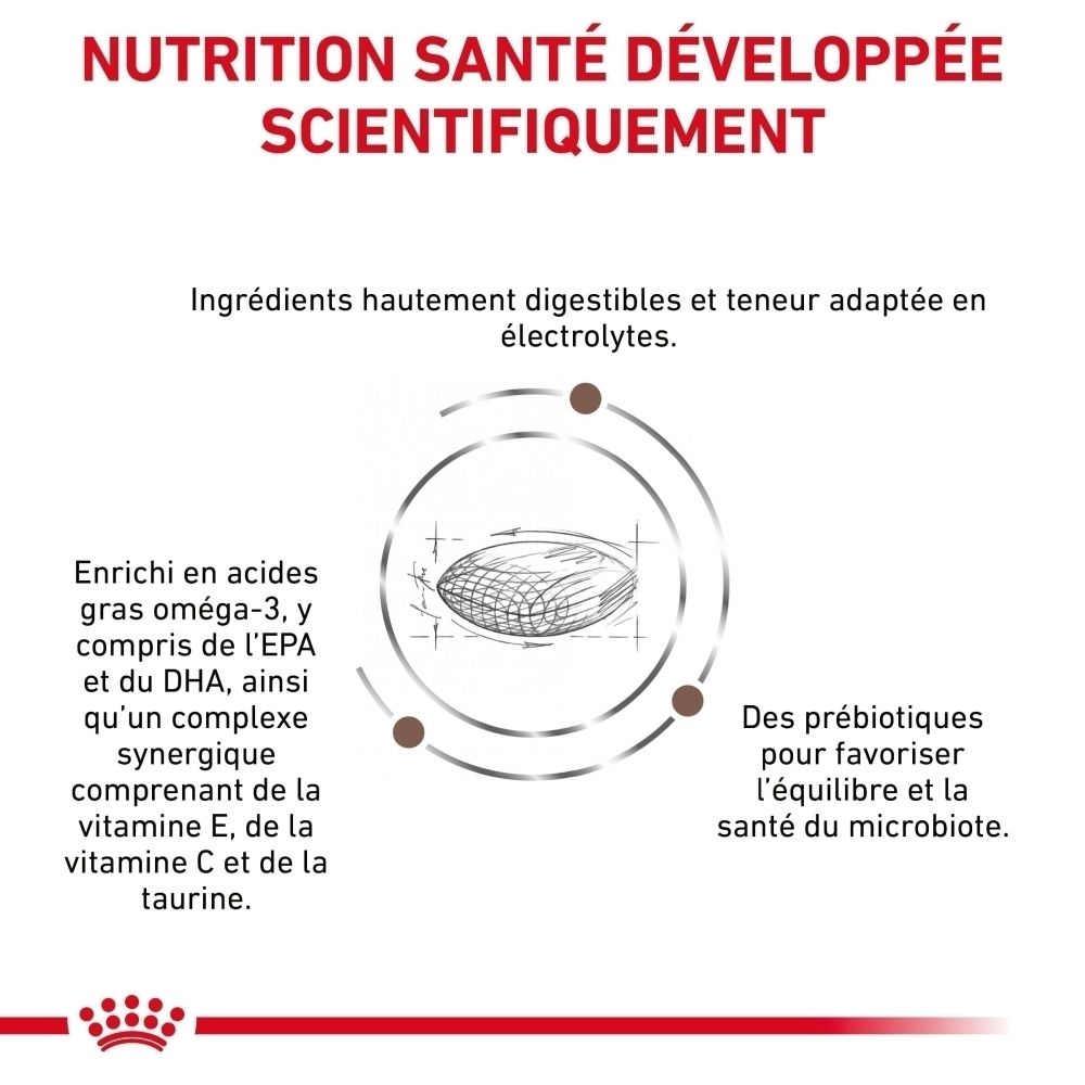 Sac de croquettes Royal Canin Gastrointestinal Hairball, vue latérale.