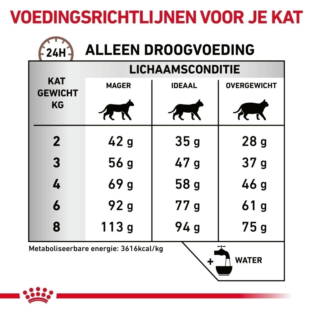 Royal Canin Gastrointestinal Hairball voerzak, 2 kg.
