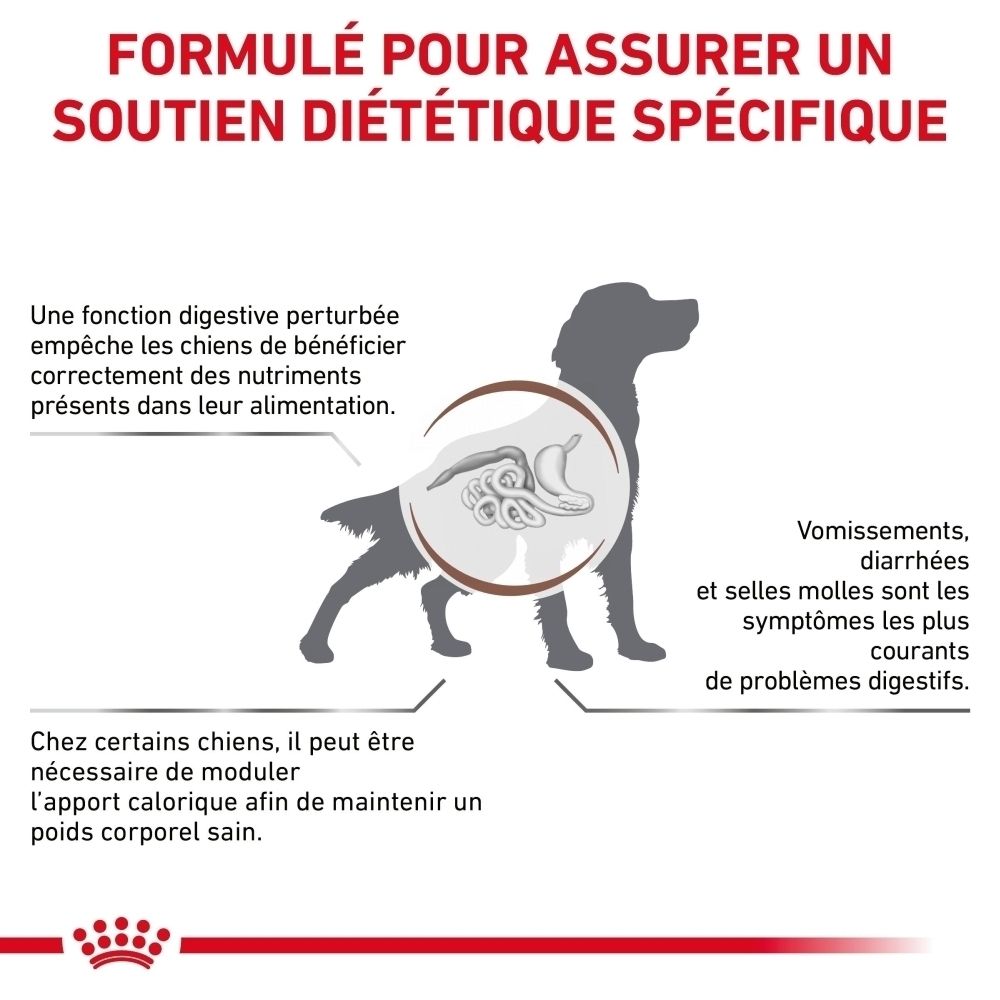 Illustration d'un chien mettant en évidence le système digestif, montrant des problèmes digestifs tels que vomissements et diarrhées.
